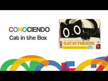 Cat In The Box (Es)